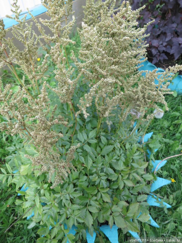 Осень ты прекрасна — Болталка и разговоры обо всем: жизнь