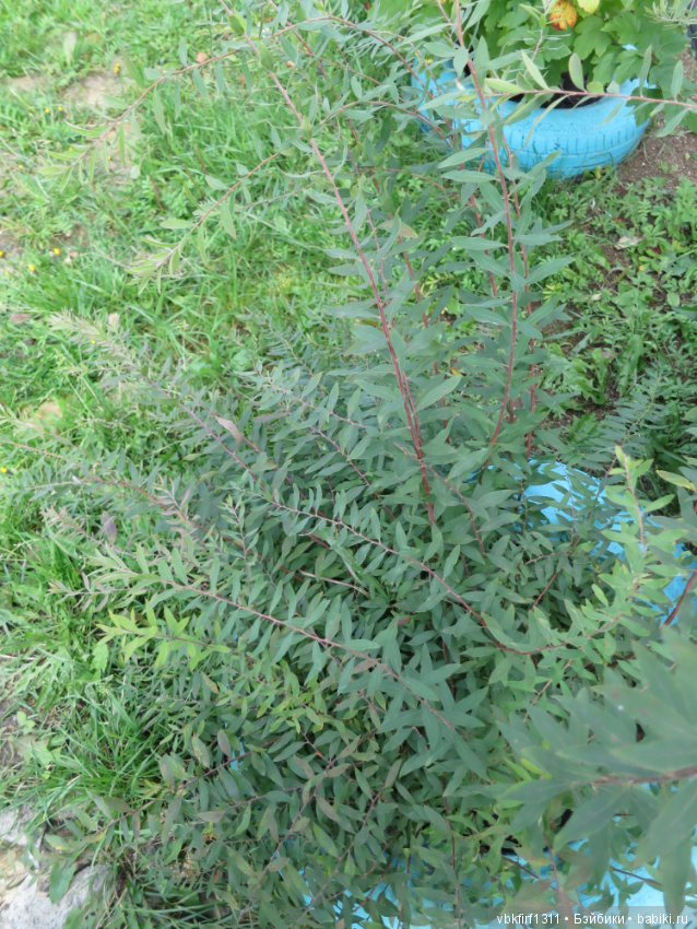 Осень ты прекрасна — Болталка и разговоры обо всем: жизнь