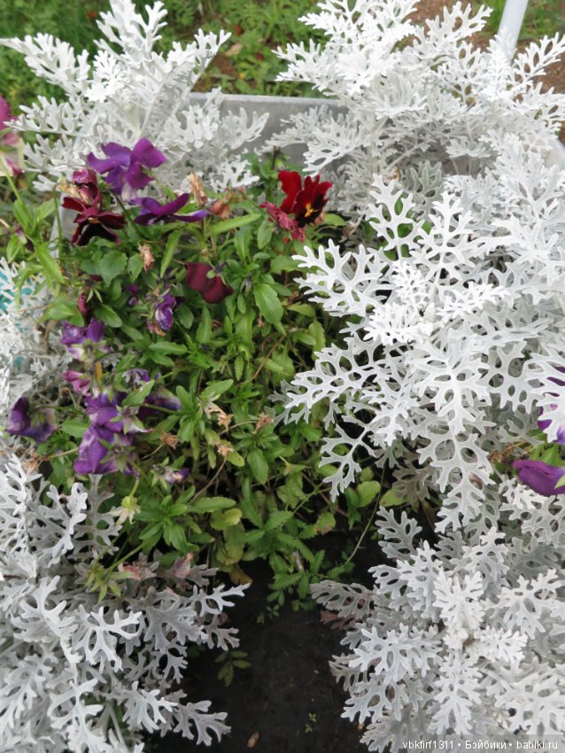 Осень ты прекрасна — Болталка и разговоры обо всем: жизнь (фото 8)