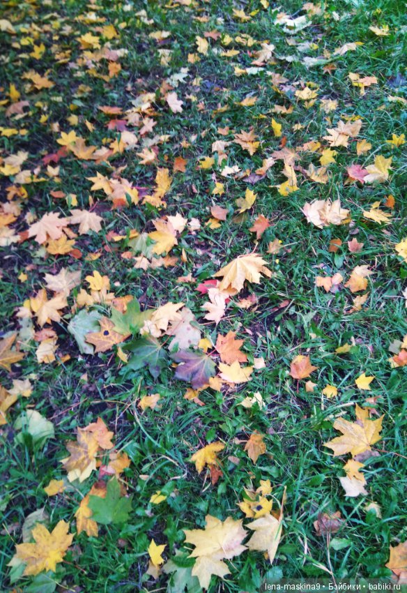 Лягушонок со своим другом, в осеннем парке (фото 7)