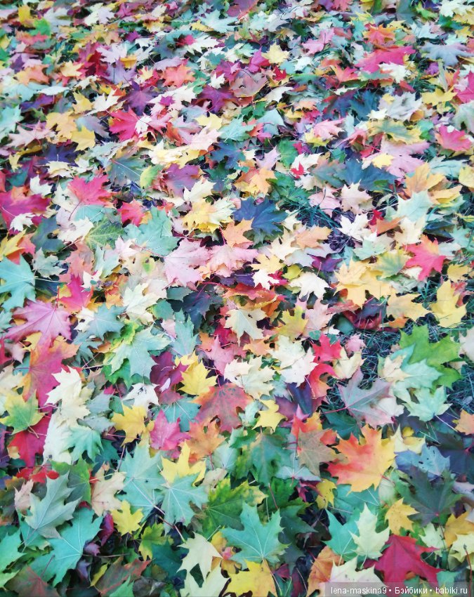 Лягушонок со своим другом, в осеннем парке