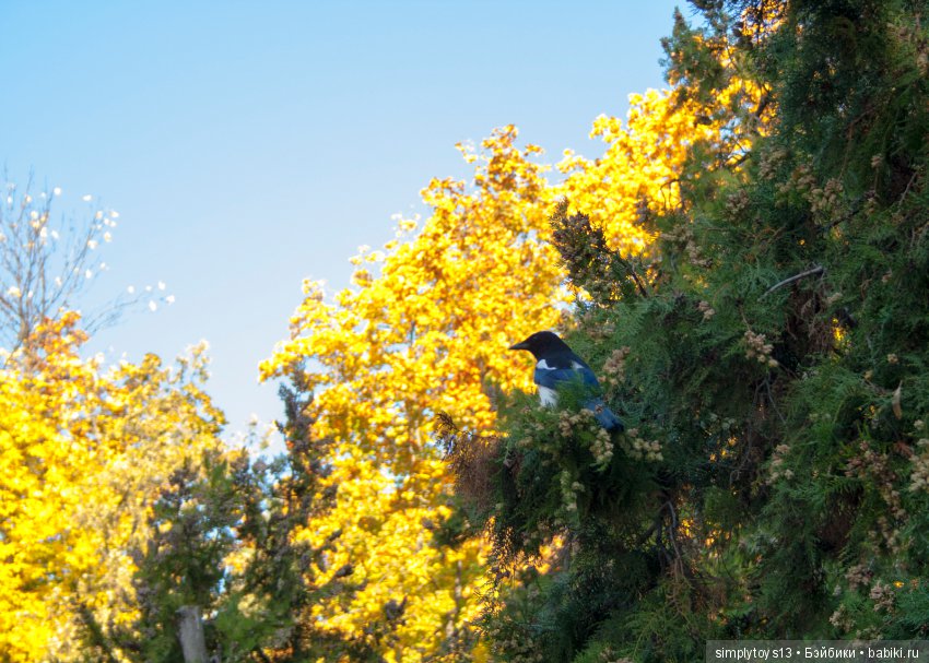 Прогулка по парку им.Горького (Харьков), часть вторая