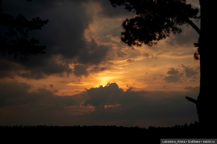 Осенние зарисовки — Болталка и разговоры обо всем: жизнь (фото 5)