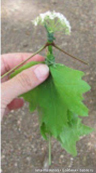 Мам, отведи меня в детство