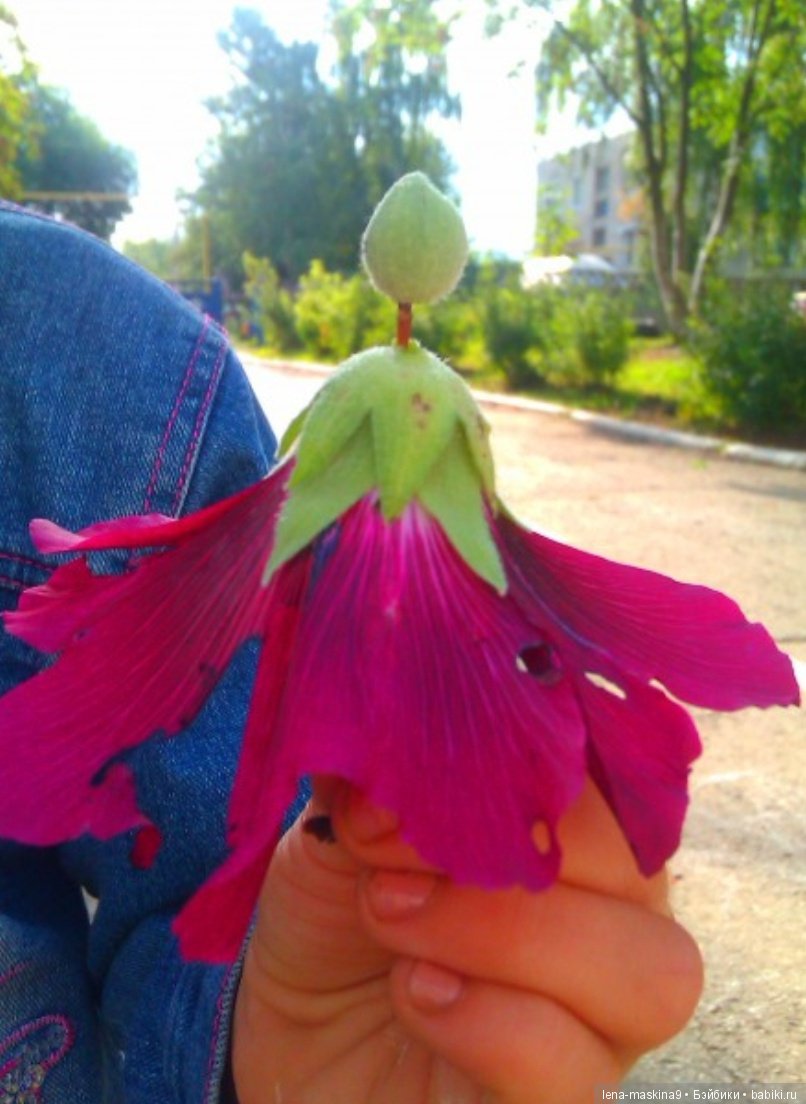 Мам, отведи меня в детство