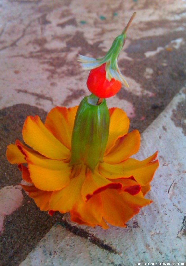 Мам, отведи меня в детство