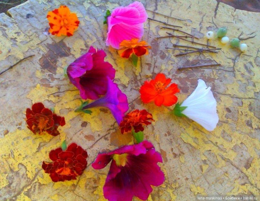 Мам, отведи меня в детство