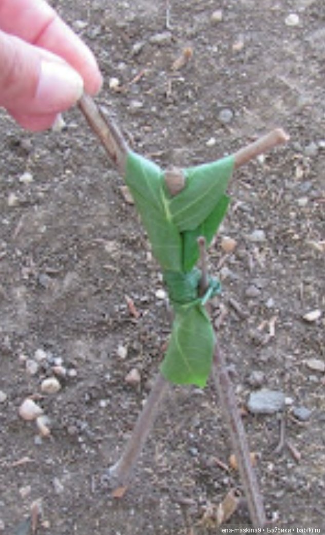 Мам, отведи меня в детство