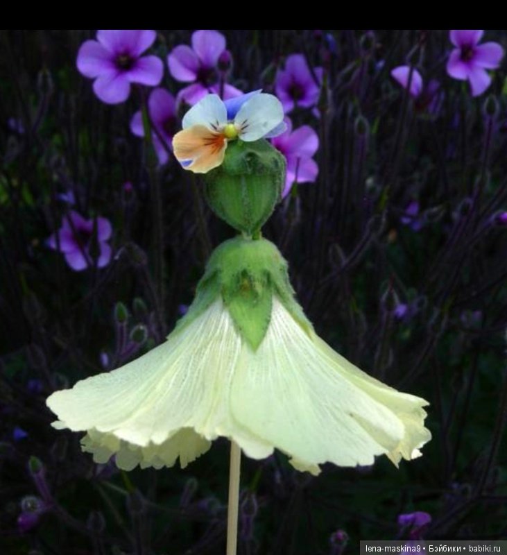 Мам, отведи меня в детство (фото 10)