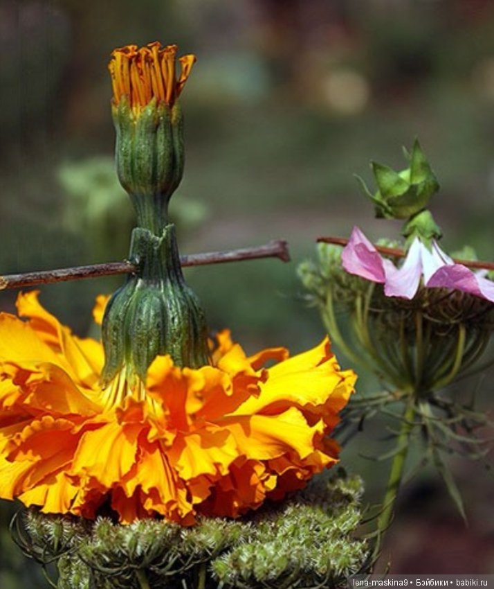 Мам, отведи меня в детство