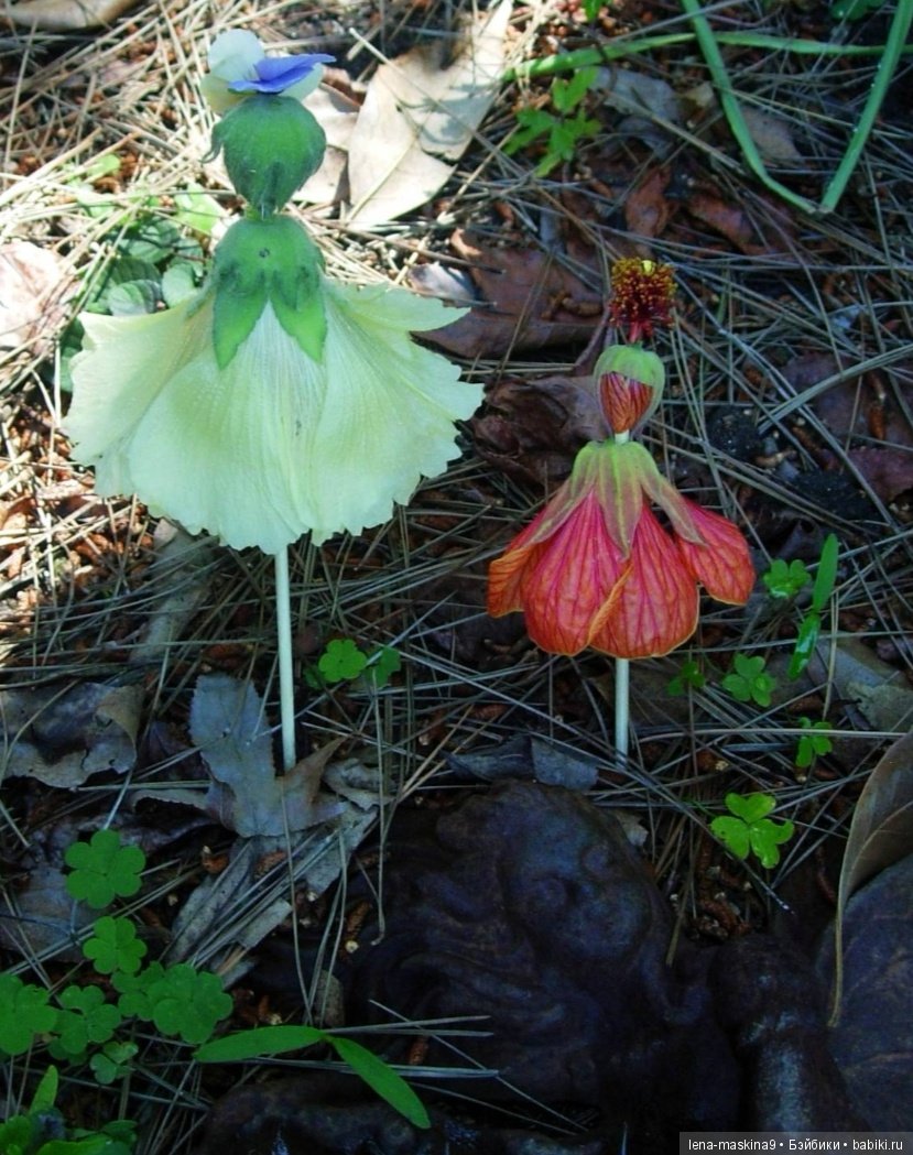 Мам, отведи меня в детство (фото 7)