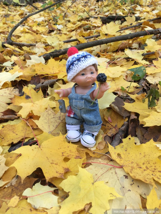 Данька в осеннем лесу — Куклы D'Anton Jos (Д'Антон Джос): характерные (фото 8)
