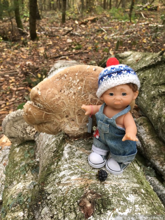 Данька в осеннем лесу — Куклы D'Anton Jos (Д'Антон Джос): характерные (фото 10)