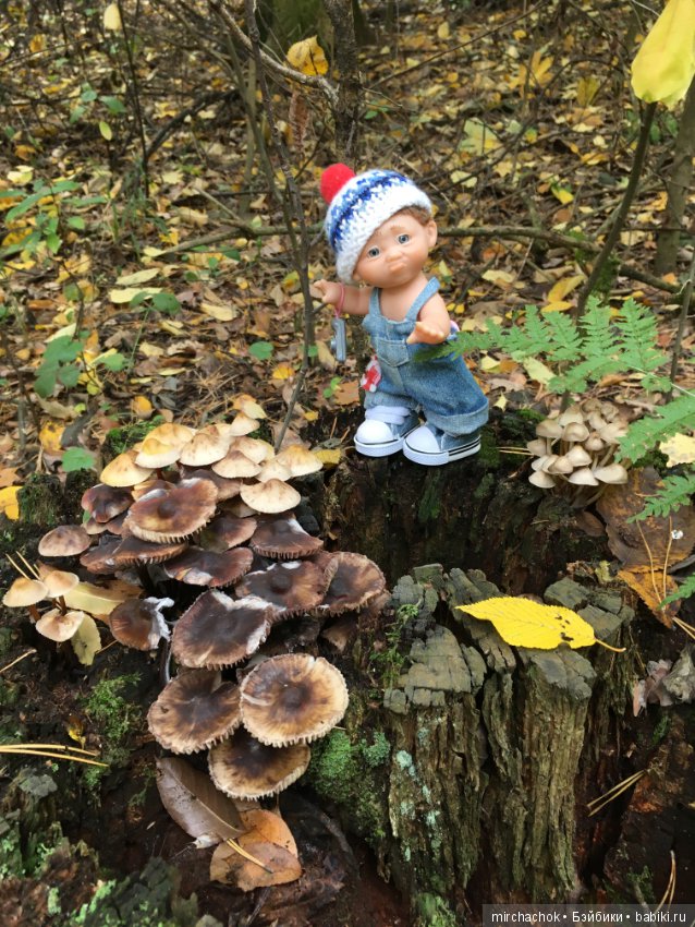 Данька в осеннем лесу — Куклы D'Anton Jos (Д'Антон Джос): характерные (фото 3)