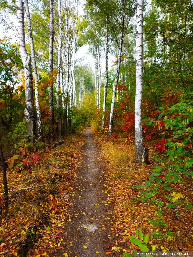 Данька в осеннем лесу — Куклы D'Anton Jos (Д'Антон Джос): характерные