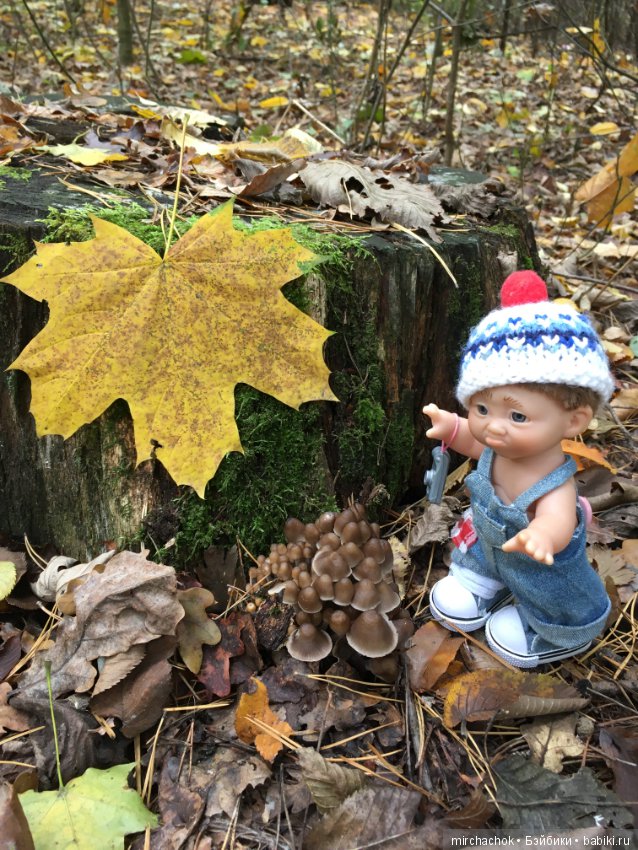 Данька в осеннем лесу — Куклы D'Anton Jos (Д'Антон Джос): характерные