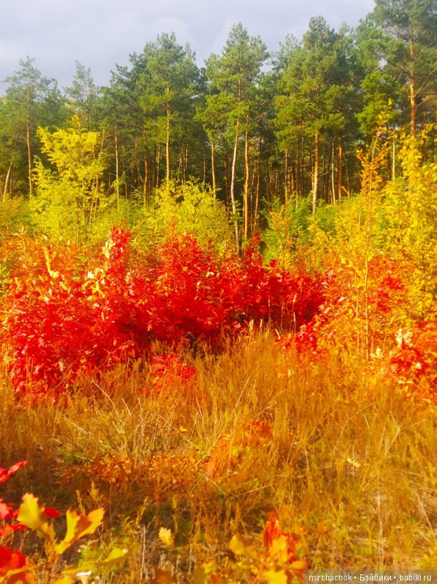 Данька в осеннем лесу — Куклы D'Anton Jos (Д'Антон Джос): характерные