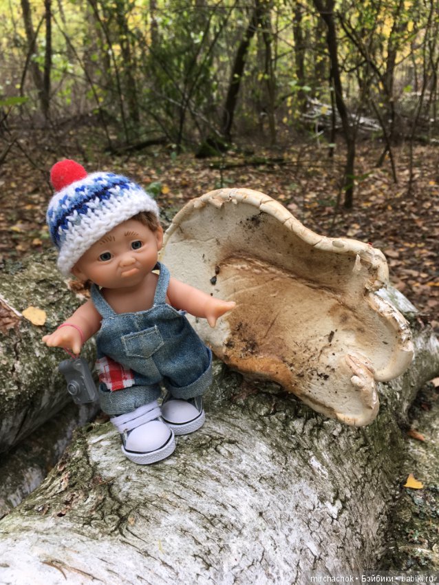 Данька в осеннем лесу — Куклы D'Anton Jos (Д'Антон Джос): характерные
