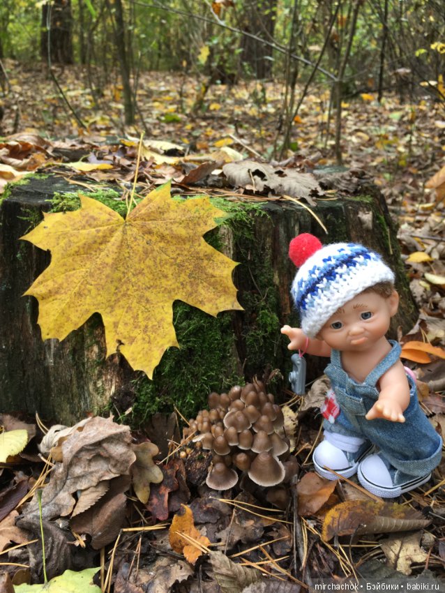 Данька в осеннем лесу — Куклы D'Anton Jos (Д'Антон Джос): характерные (фото 2)