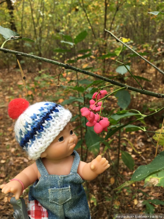 Данька в осеннем лесу — Куклы D'Anton Jos (Д'Антон Джос): характерные (фото 4)