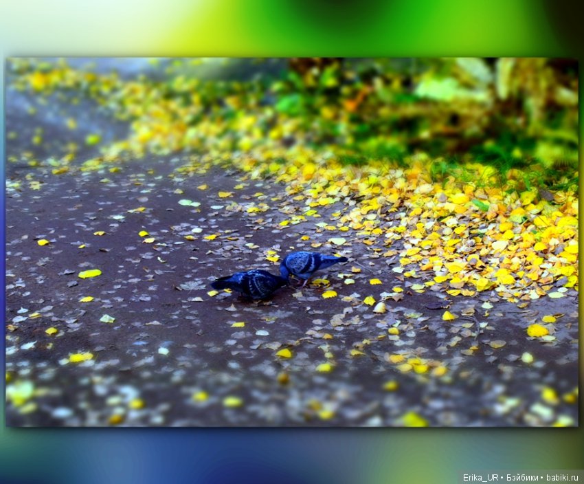 Перепись КуклоНаселения. Bebe Мотя и краски бабьего лета