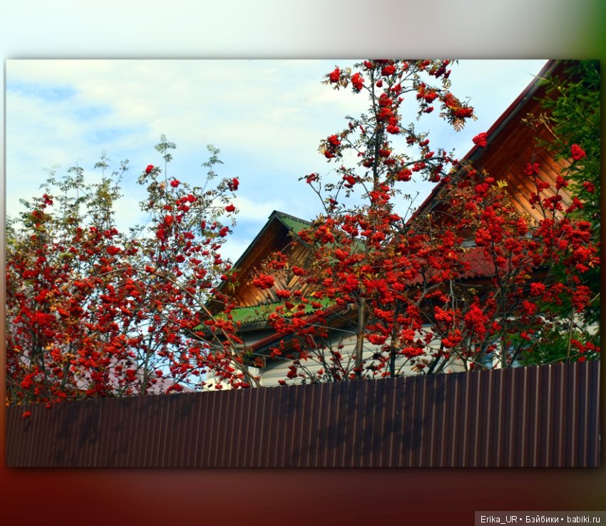 Перепись КуклоНаселения. Bebe Мотя и краски бабьего лета