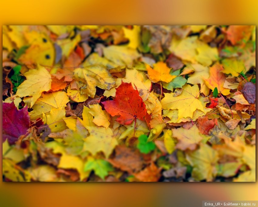 Перепись КуклоНаселения. Bebe Мотя и краски бабьего лета