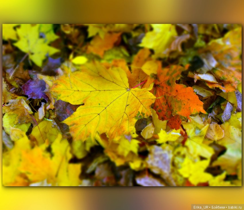 Перепись КуклоНаселения. Bebe Мотя и краски бабьего лета