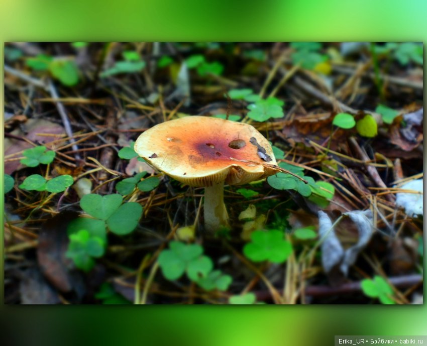 Перепись КуклоНаселения. Bebe Мотя и краски бабьего лета