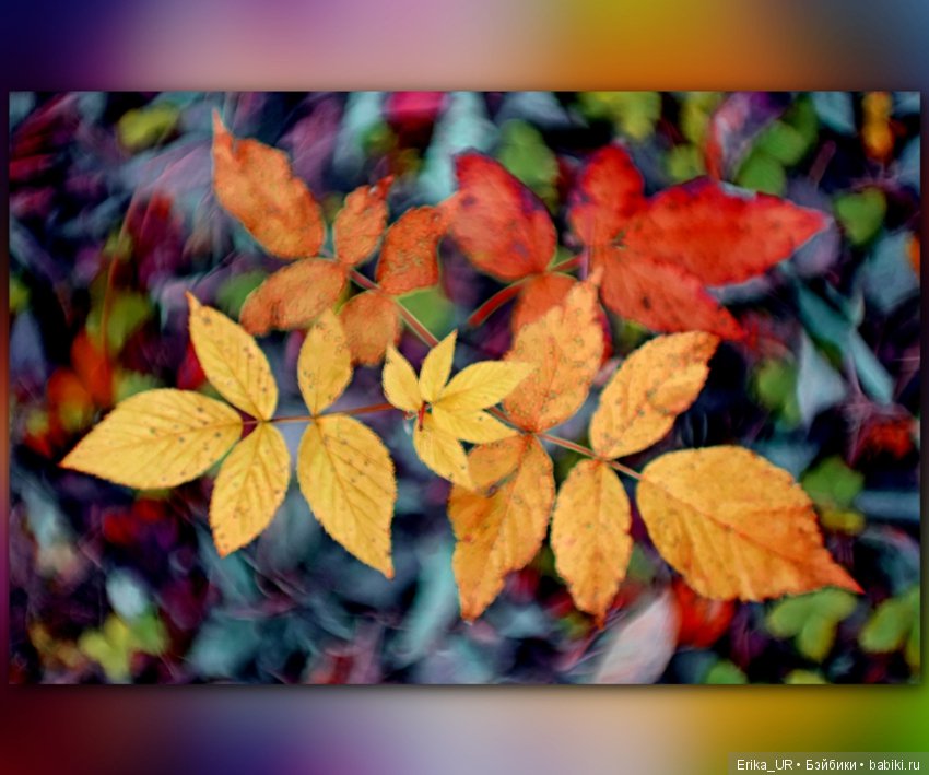 Перепись КуклоНаселения. Bebe Мотя и краски бабьего лета