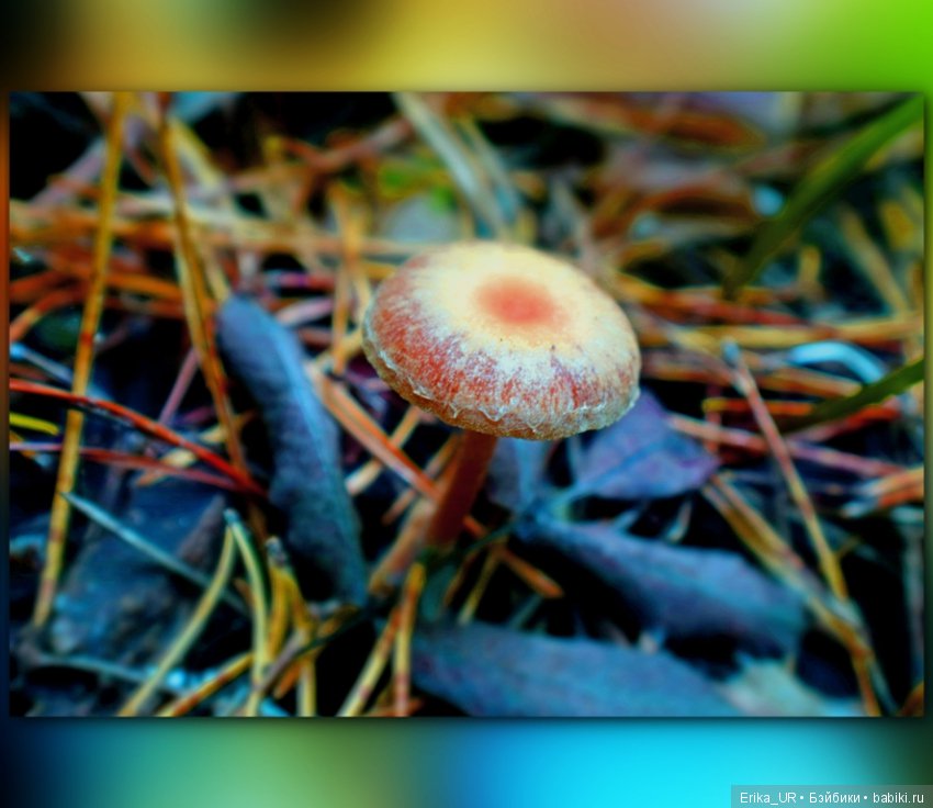 Перепись КуклоНаселения. Bebe Мотя и краски бабьего лета