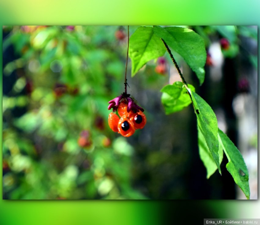 Перепись КуклоНаселения. Bebe Мотя и краски бабьего лета (фото 7)