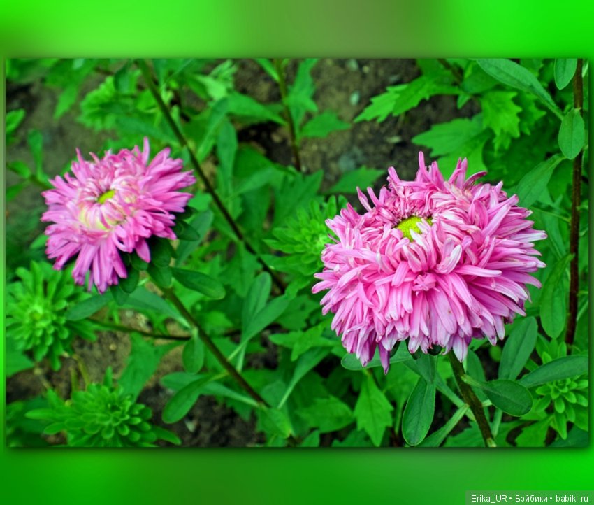 Перепись КуклоНаселения. Bebe Мотя и краски бабьего лета