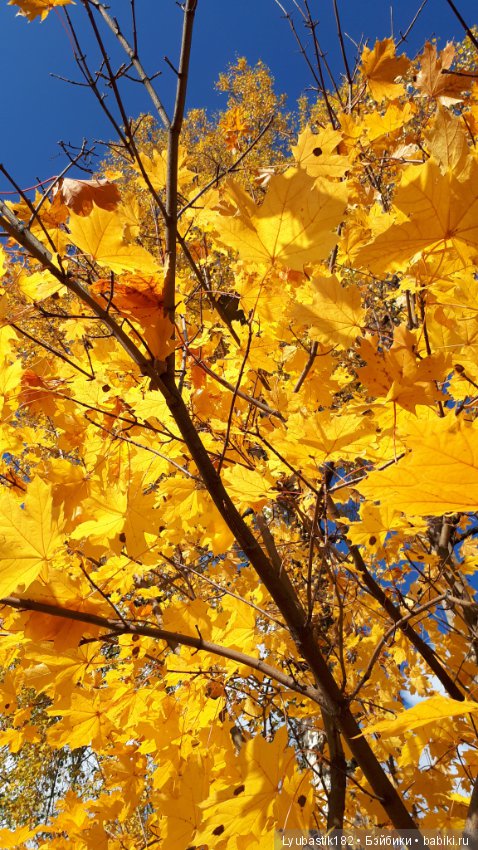 Осень — Болталка и разговоры обо всем: жизнь (фото 9)