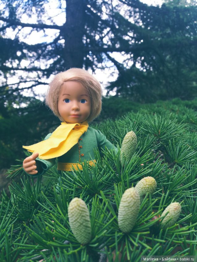 Сказка рядом — Болталка и разговоры обо всем: жизнь (фото 6)