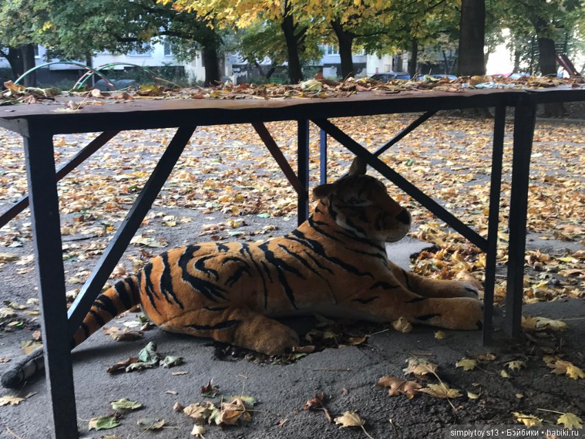 Первая фотосессия и мой первый опыт фотографирования Ever After High ( рассуждения и просьба поделиться опытом) (фото 5)