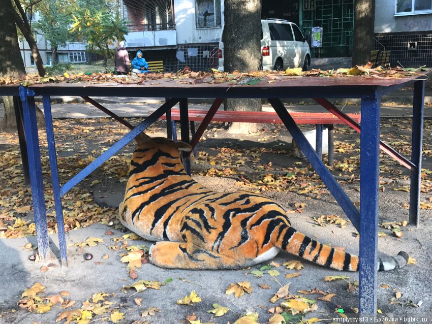 Первая фотосессия и мой первый опыт фотографирования Ever After High ( рассуждения и просьба поделиться опытом) (фото 4)