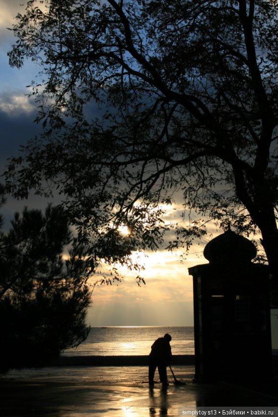 Осень, октябрь, пора хризантем