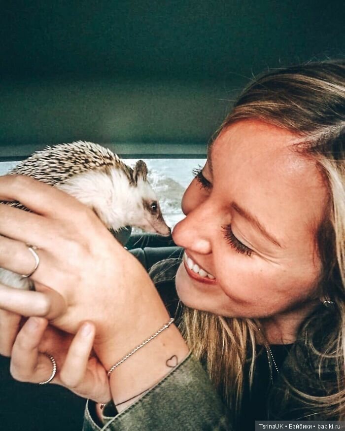 Фотосессия позитивного ежа