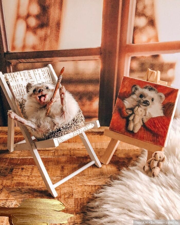 Фотосессия позитивного ежа