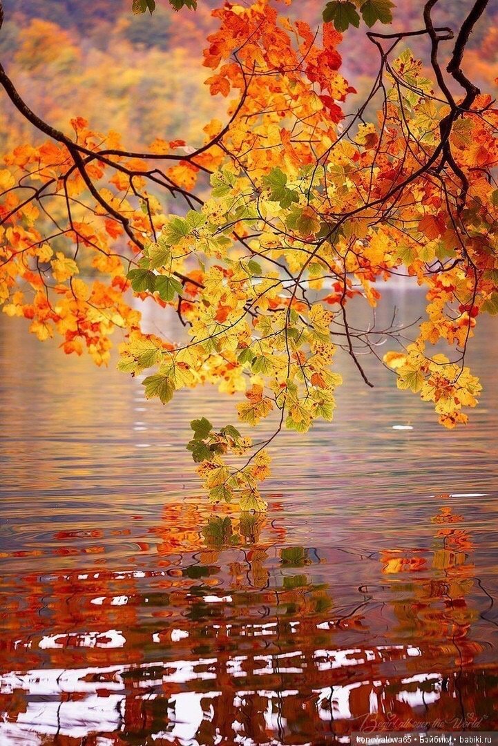 Что ж ты осень, душу растревожила