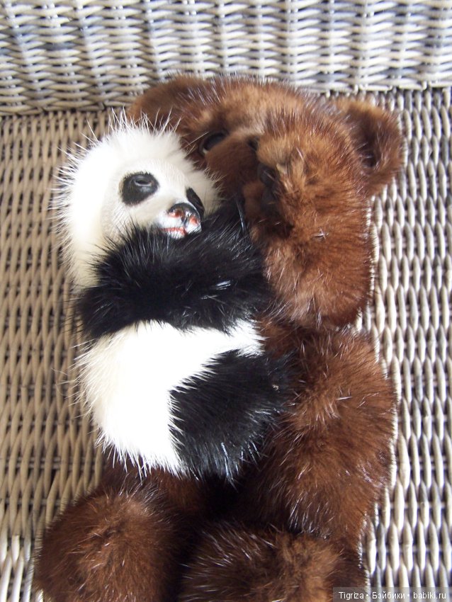 Новенькие не хотят скучать (фото 5)