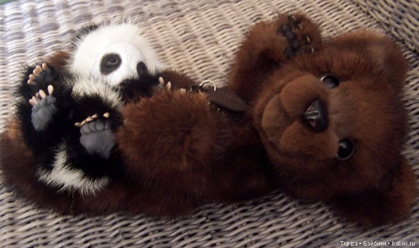 Новенькие не хотят скучать