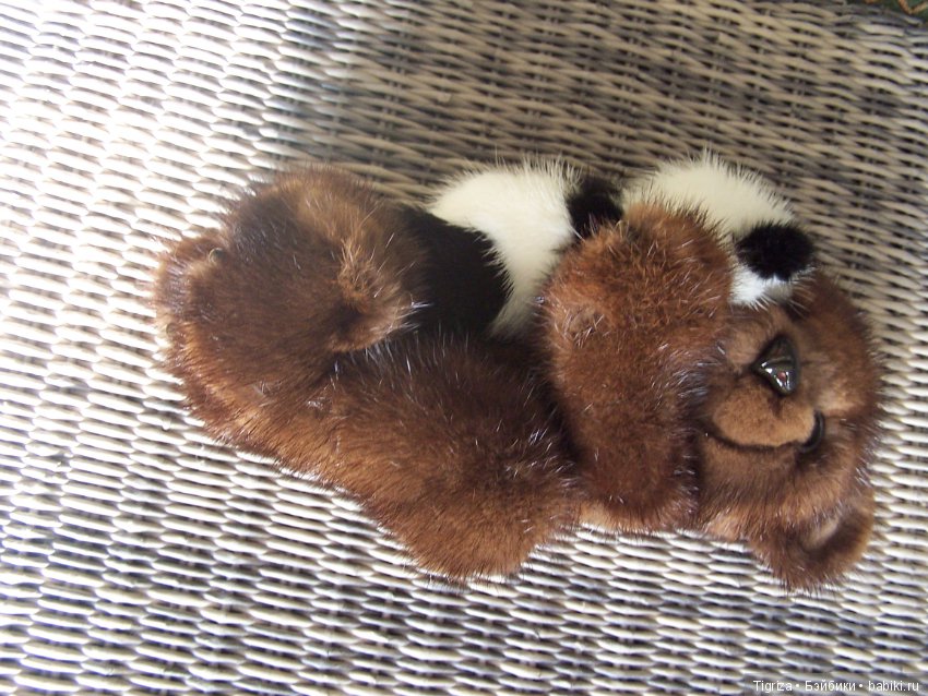 Новенькие не хотят скучать (фото 6)