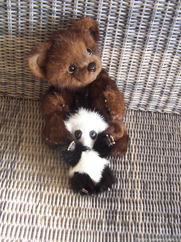 Новенькие не хотят скучать (фото 7)