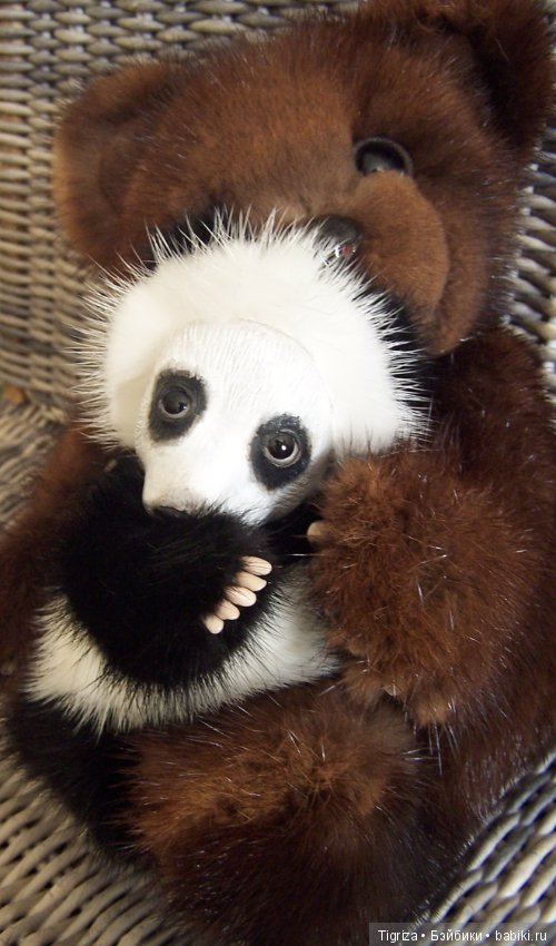 Новенькие не хотят скучать (фото 3)