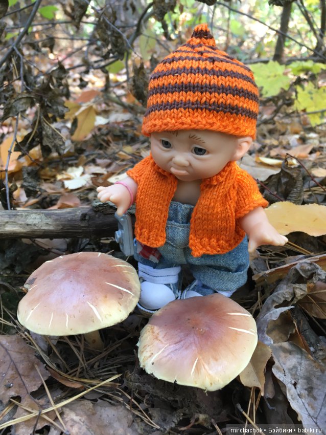 Прогулка по осеннему лесу