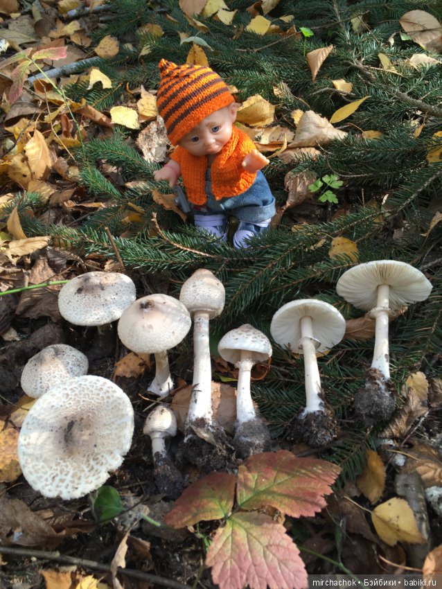 Прогулка по осеннему лесу