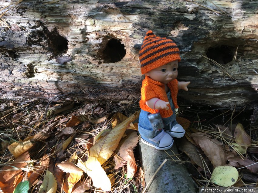 Прогулка по осеннему лесу