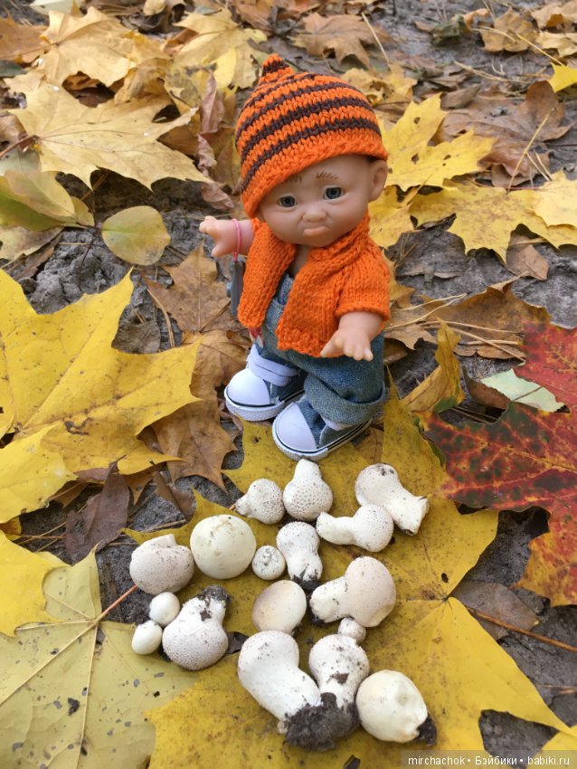 Прогулка по осеннему лесу